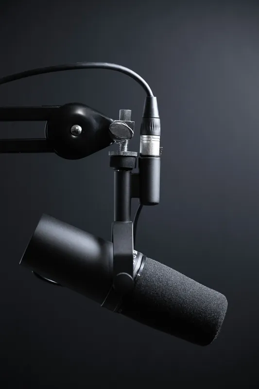 Professional microphone at High Tide Studios